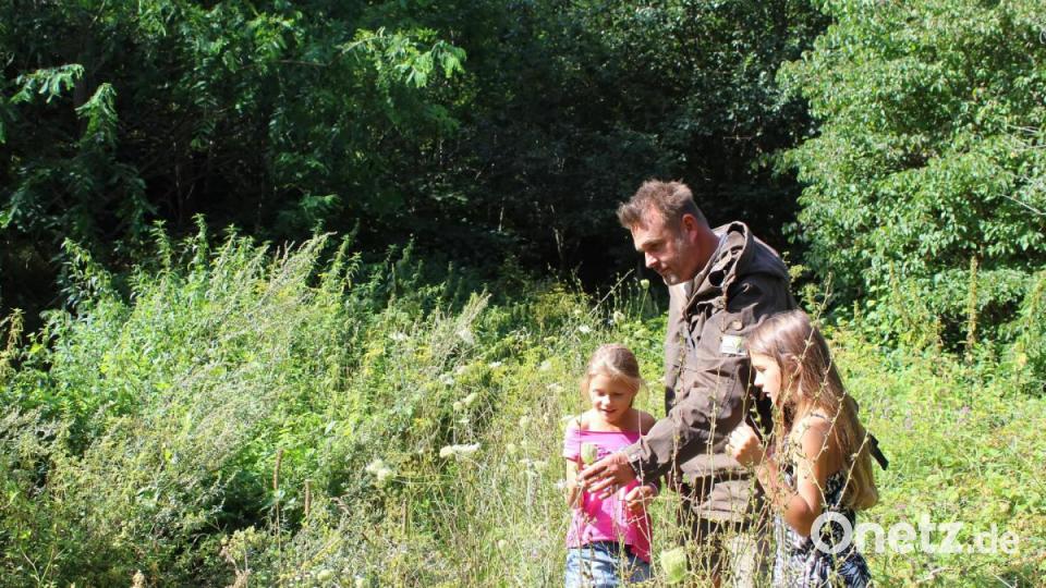 Nicht weit vom Wegrand entfernt wächst hier die Wilde Möhre. Bild: Evi Wagner