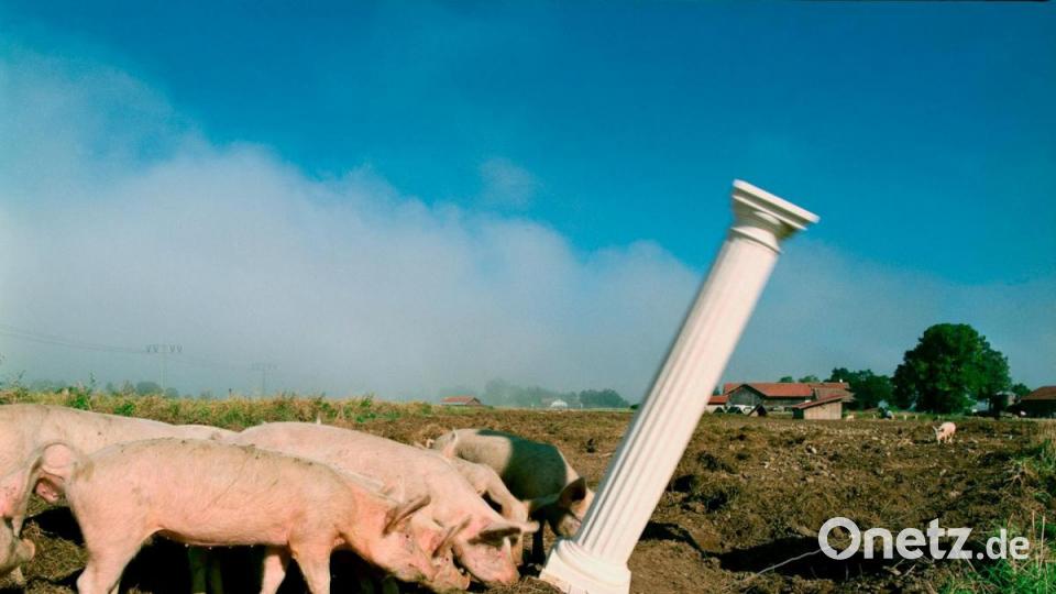 Ob dorische, ionische oder korinthische Säulenordnung: Sie sind Zeichen des Triumphs, scheinbar himmlischer wie irdischer Macht, hoher Kunstfertigkeit und herrschaftlichen Reichtums. In der Ausstellung im Tempelmuseum werden sie in ganz neue Umfelder gebracht. Bild: exb