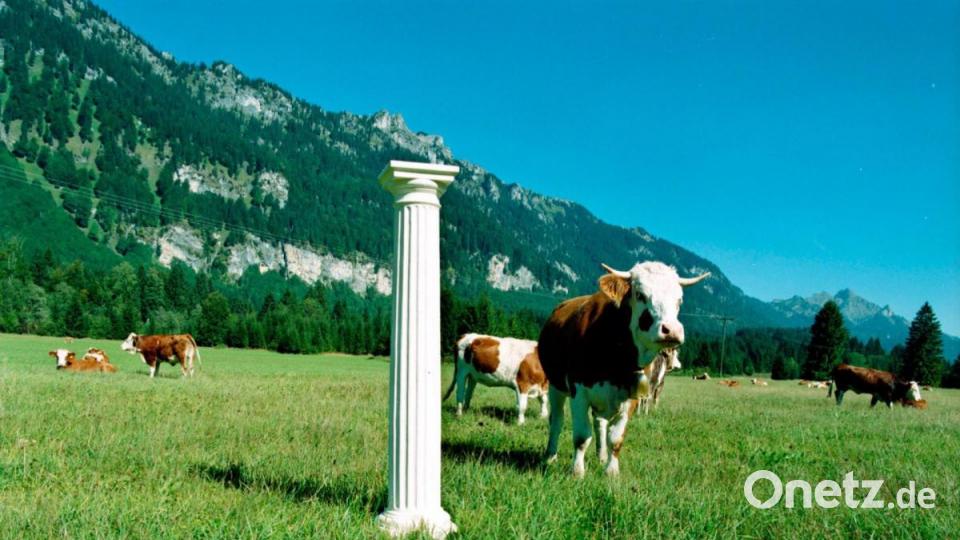 Ob dorische, ionische oder korinthische Säulenordnung: Sie sind Zeichen des Triumphs, scheinbar himmlischer wie irdischer Macht, hoher Kunstfertigkeit und herrschaftlichen Reichtums. In der Ausstellung im Tempelmuseum werden sie in ganz neue Umfelder gebracht. Bild: exb