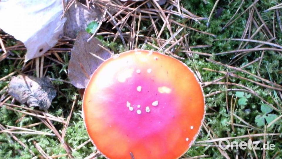 Smiley! Bild: Irene Kassubek/exb