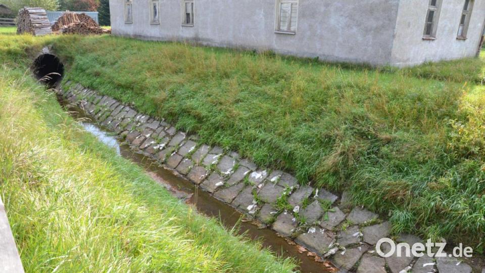 Der Schweitzbach in Hirschau vom Mittlerem Torgartenweg aus: Das Ufer ist gesäumt von getrocknetem Klopapier, im Wasser schwimmen braune Hinterlassenschaften. Anwohner beklagen den Zustand. Bild: roa