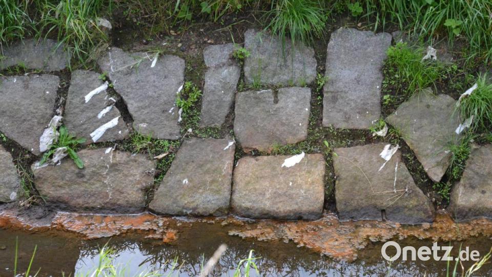 Im Schweitzbach in Hirschau schwimmen Fäkalien. Bild: roa