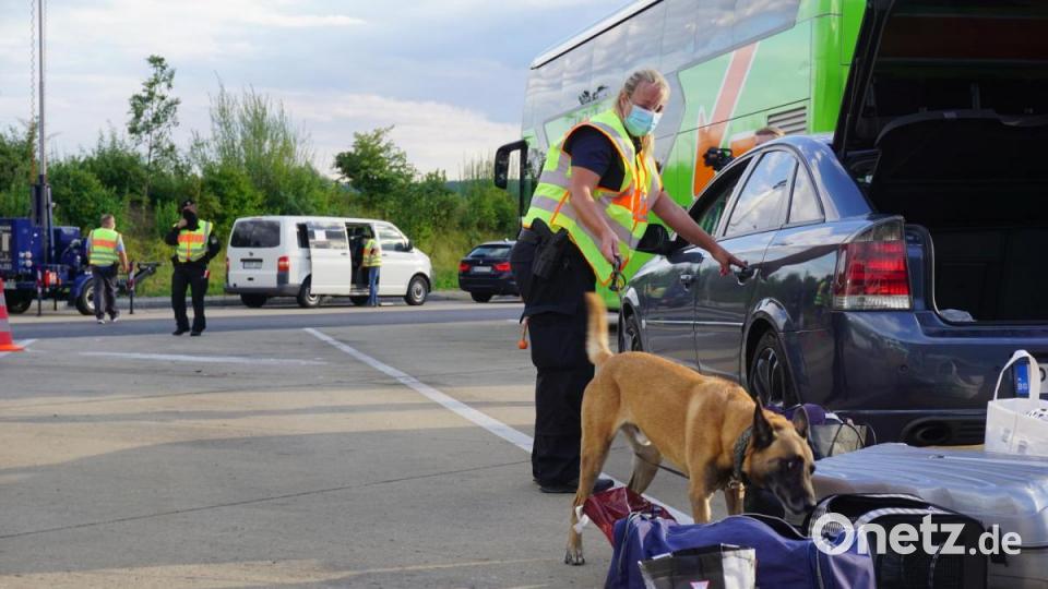 Auch Rauschgift-Spürhunde sind im Einsatz. Bild: jut