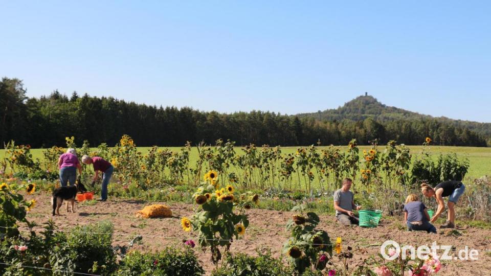 Ein Idyllisches Fleckchen haben sich vier Haushalte in Unterbruck für einen Gemeinschaftsgarten ausgesucht. Bild: rpp