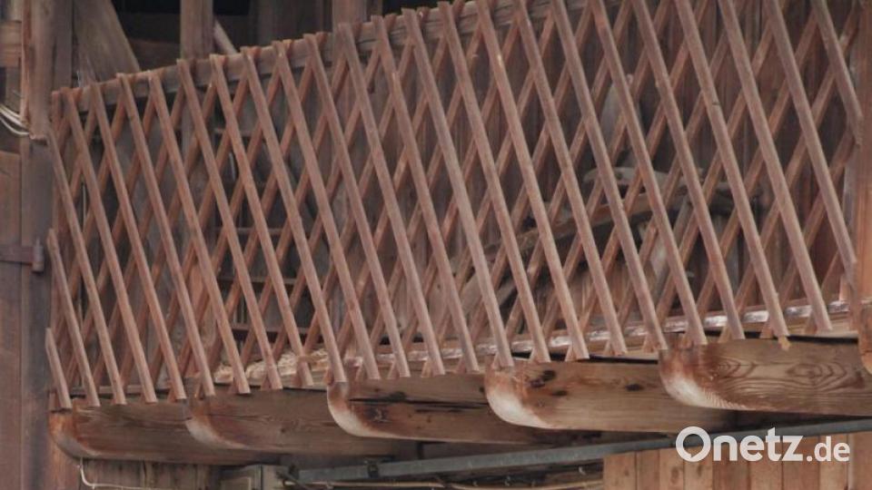 Tomaten stellen keine hohen Ansprüche: Ein Eimer mit Erde, eine Stange und etwas Schnur als Rankhilfe für die Triebe, Wasser zum Gießen, eine Pflanze vom Gärtner, fertig! Bild: cvl