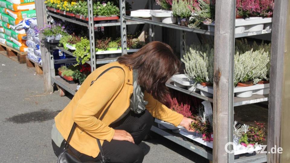 Einen Erfolg verbuchte der Michaelimarkt in Oberviechtach. Bild: frd