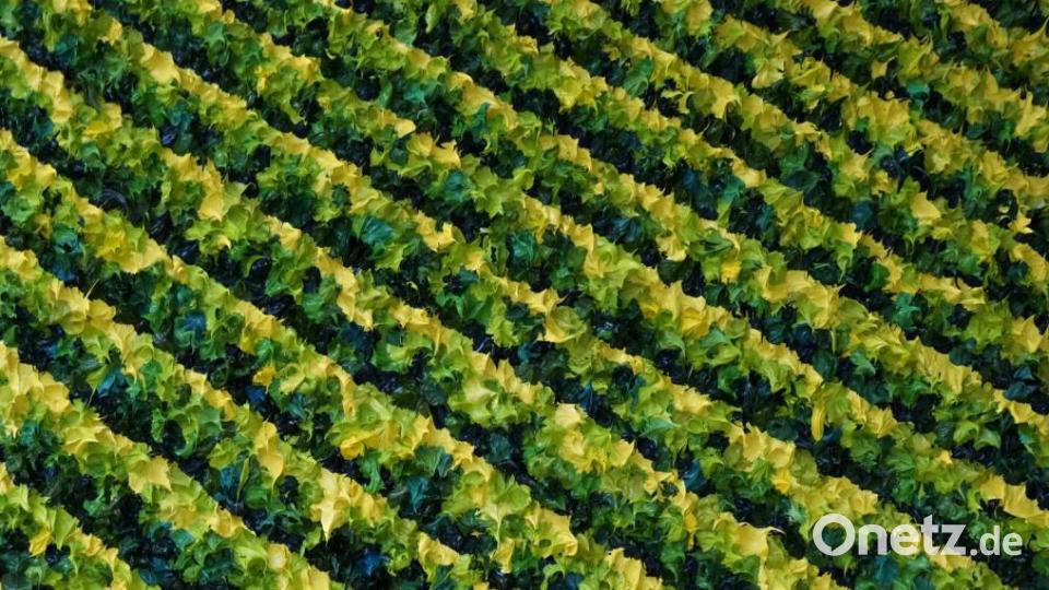 Das Gemälde &quot;St. Emilion III&quot; stellt einen Blick auf Weinberge dar. Bild: amö
