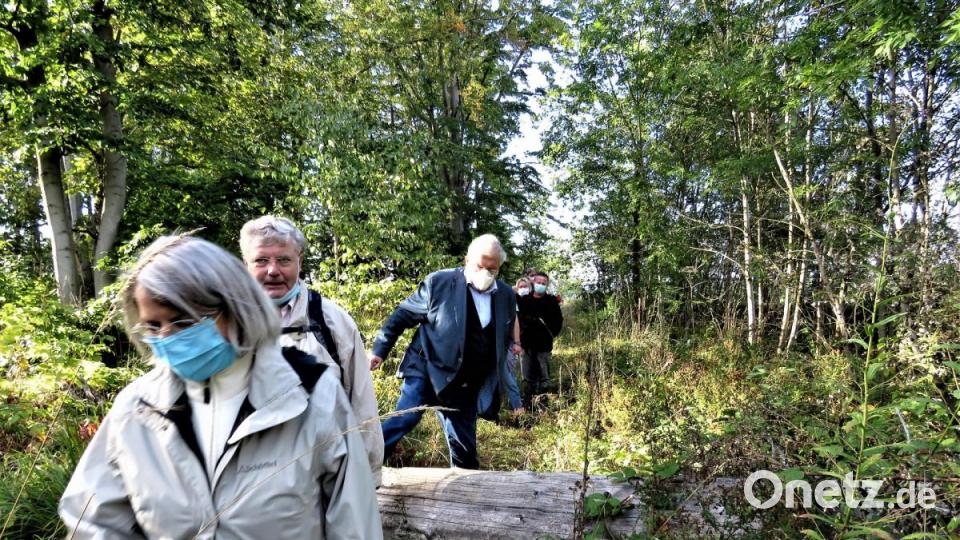 Professor Dr. Hubert Weiger (Dritter von vorn) beim Übersteigen eines umgefallenen Baums. Während der Wanderung gab es ständig Hindernisse, die ohne Zutun der Menschen umgefallen sind und niemals mehr aufgehoben werden. Bild: ubb