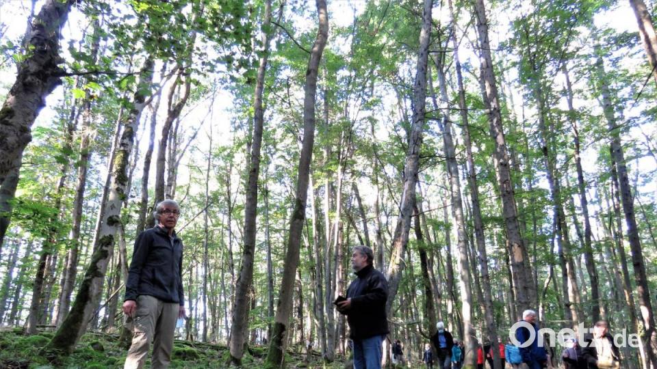Josef Siller (links) erzählte während der Wanderung von den Naturschätzen wie der höchsten Birke Bayerns am Teichelberg. Bild: ubb