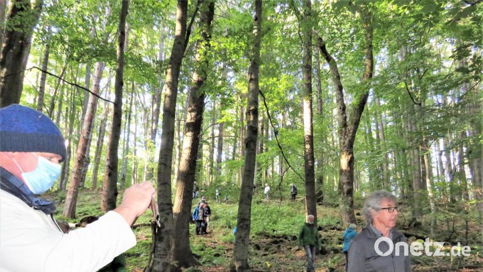 Teichelberg Exkursion der BN-Kreisgruppe. Bild: ubb