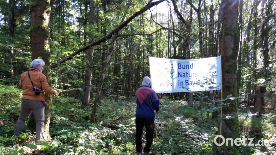 Für den Besuch des BN-Ehrenvorsitzenden wurde sogar extra das BN-Logo im Wald aufgehängt. Bild: ubb