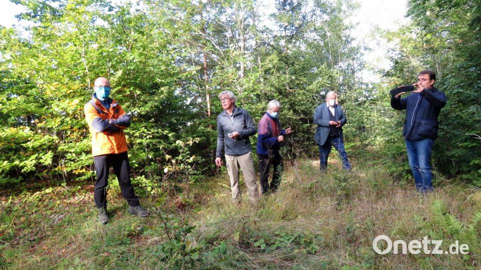Josef Siller weist auf die verdorrten Buchen hin, die ihm Alpträume bereiten würden. Bild: ubb