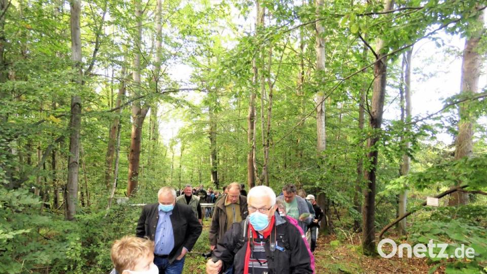 Wanderung mit Mundschutz: Knapp 80 Teilnehmer hat es wohl seit der Krisenzeit im März nicht mehr gegeben. Der BN hat alle Vorschriften akribisch eingehalten und es wurde dennoch eine schöne Wanderung. Bild: ubb