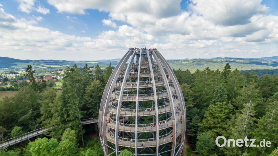 Imposantes Bauwerk: Vom Aussichtsturm des Baumwipfelpfads bietet sich eine tolle Aussicht über den Wald. Bild: Christian Rothbauer/Nationalpark Bayerischer Wald/dpa