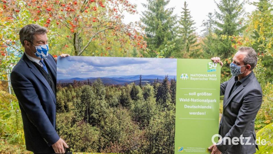 Markus Söder (CSU, links), Ministerpräsident von Bayern, hält mit Thorsten Glauber (Freie Wähler), Staatsminister für Umwelt und Verbraucherschutz, ein Bild vom Nationalpark Bayerischer Wald. Zum 50. Jahrestag der Eröffnung haben die Politiker das Informationszentrum in Neuschönau (Landkreis Freyung-Grafenau) besucht und die vom Ministerrat beschlossene Erweiterung offiziell verkündet. Bild: Armin Weigel/dpa