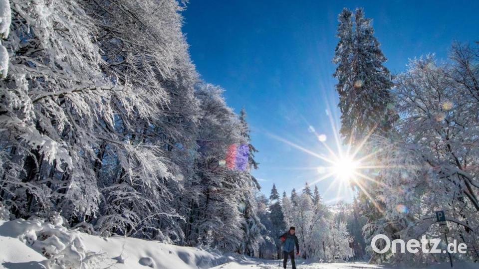Die kalte Jahreszeit naht ja: So sieht der Nationalpark in Neuschönau im Winter aus. Bild: Armin Weigel/dpa