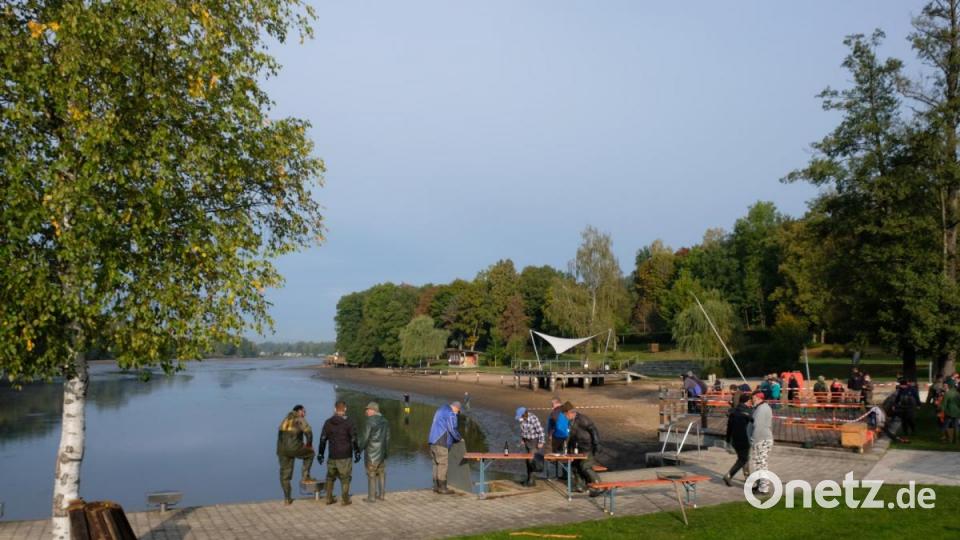 Das Rußweiher-Panorama beim Fischzug. Bild: do