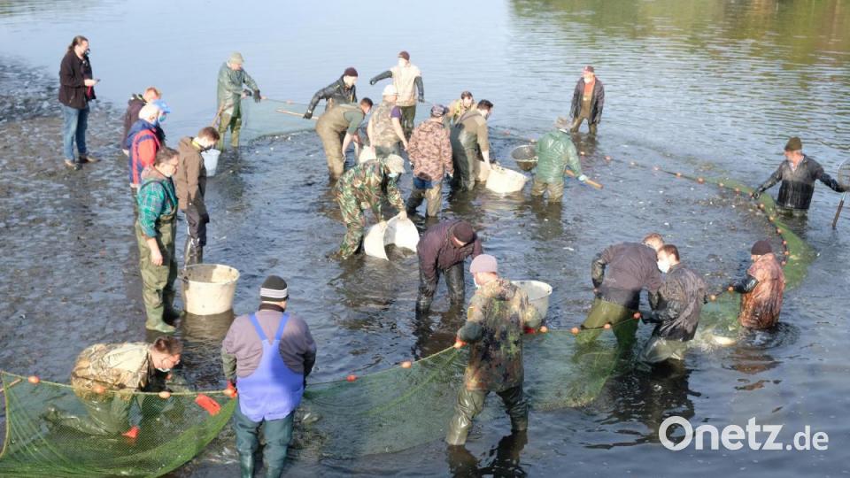 Mit Netz, Kescher und Wannen geht es für die vielen Helfer nach dem Ablassen des Rußweihers an die Arbeit. Bild: do