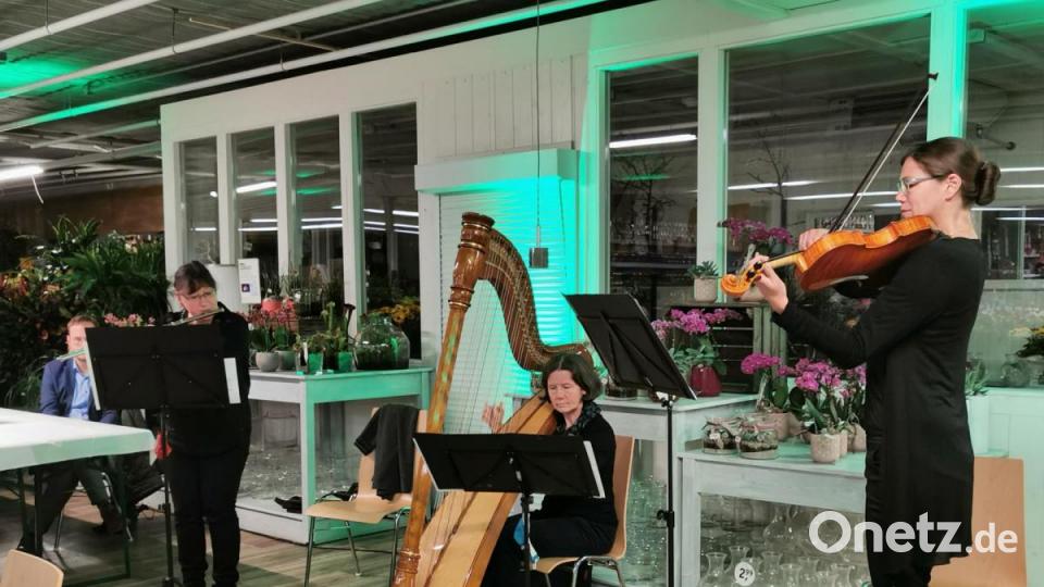 Das Musiktrio mit Sylvia Felgenträger (Querflöte), Veronika Miller-Wabra (Harfe) und Katrin Schäufl (Geige) umrahmte mit wunderschönen Weisen. Bild: Portner