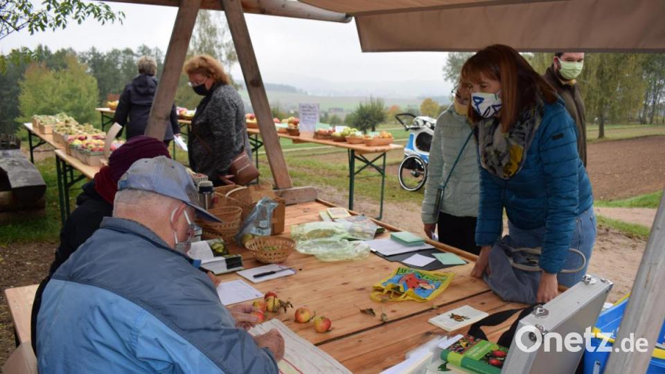 Der Pomologe Michael Altmann war ein gefragter Fachmann. Anhand einiger Früchte konnte er die Sorte bestimmen Bild: bnr