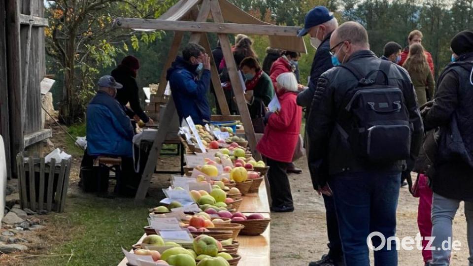 Wer mag ein "Hausmütterchen"? Die verschiedenen Apfelsorten trugen teils amüsante Namen. Bild: Völkl