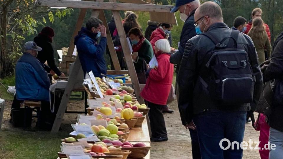 100 Apfel- und 20 Birnensorten wurden im Freilandmuseum präsentiert. Bild: bnr