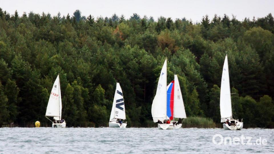 Wald und Wasser: Auch der Yachtclub Weiden hat auf dem Brückelsee ein 24-Stunden-Regatta. Bild: Gerhard Götz