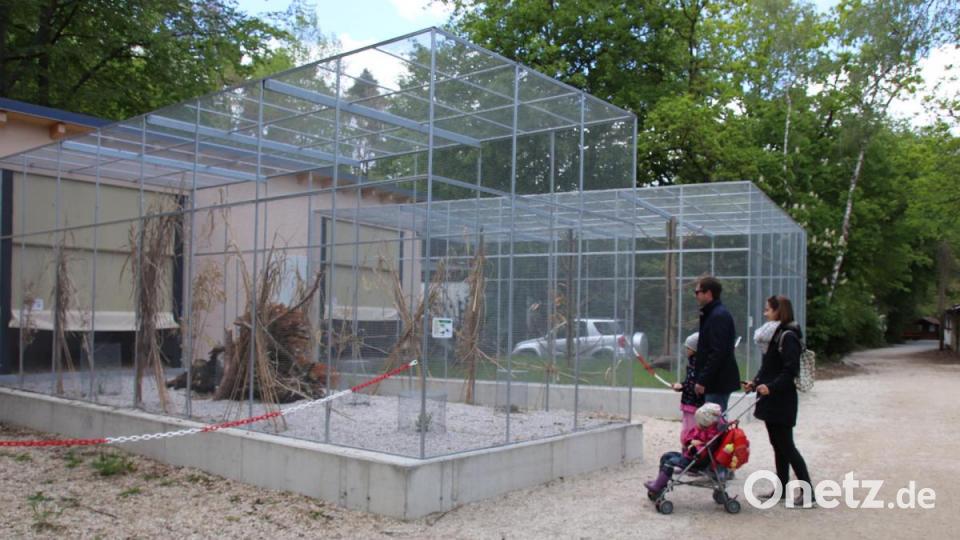 Die Höllohe bietet neue Vogelvolieren. Archivbild: Dobler