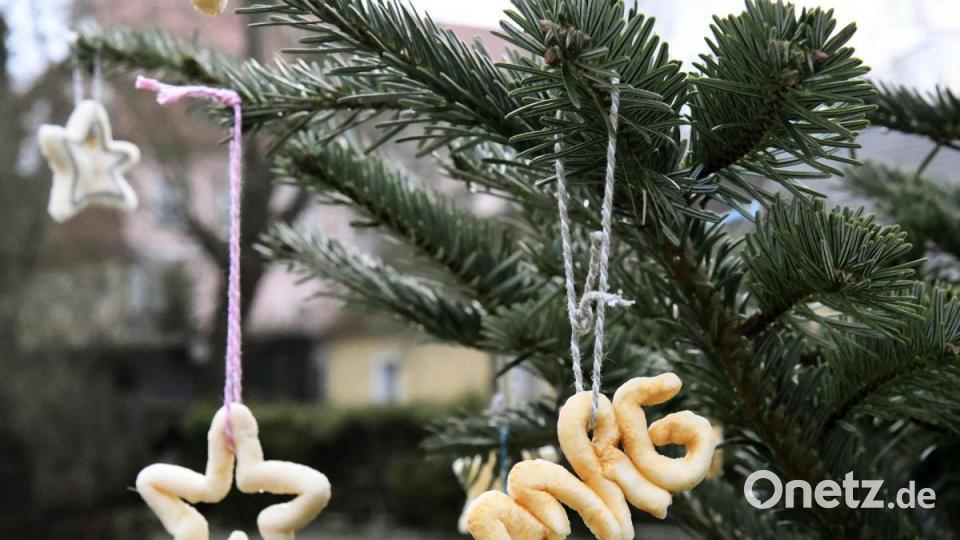 Weihnachtsgrüße vom Max-Reger-Gymnasium in der Schiffgasse. Bild: Petra Hartl