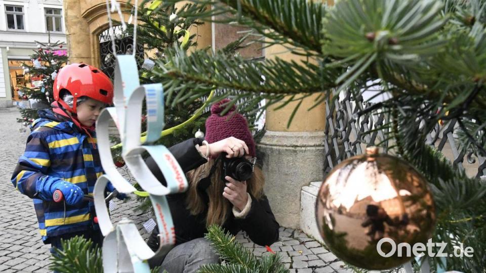 Schnappschuss vom Weihnachtsbaum: Die Aktion in der Altstadt kommt bei den Passanten gut an. Bild: Petra Hartl