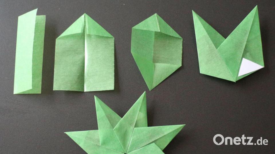 Die Faltschritte beim Transparentstern. Das weiße Papier zeigt die Klebestelle. Der gezeigte fertige Stern hier ist aus kleinerem Papier gefaltet. Bild: rpp