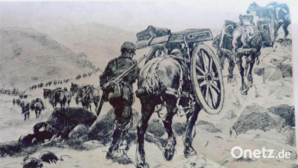 Mulis und Pferde ,,dienten“ bei den Gebirgsjägern. Auf ihrem Rücken wurden zerlegte Kanonen vom Tal in die hohen Regionen getragen. Bild: Archiv Werner Luber