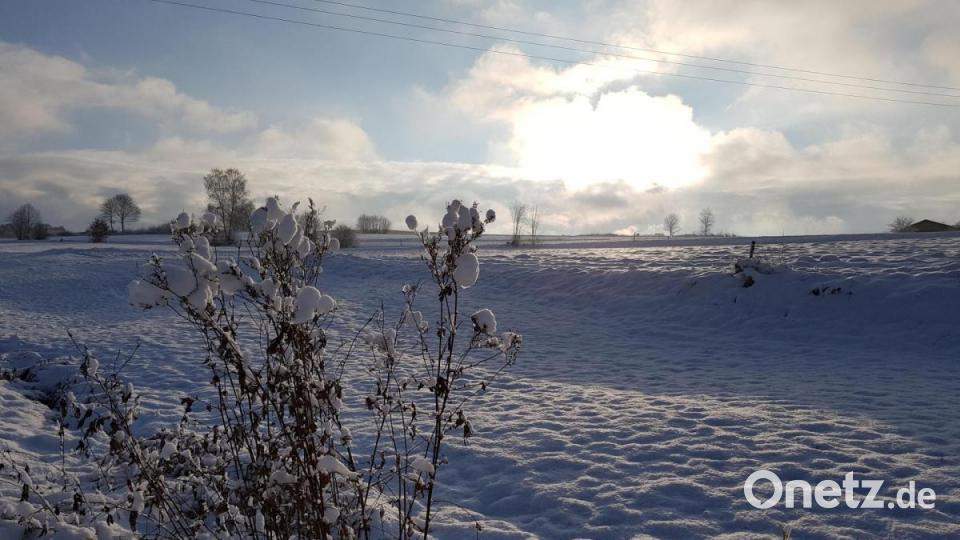 Besonderes Wintererlebnis beim Rundweg um den Eixendorfer Stausee. Bild: mp