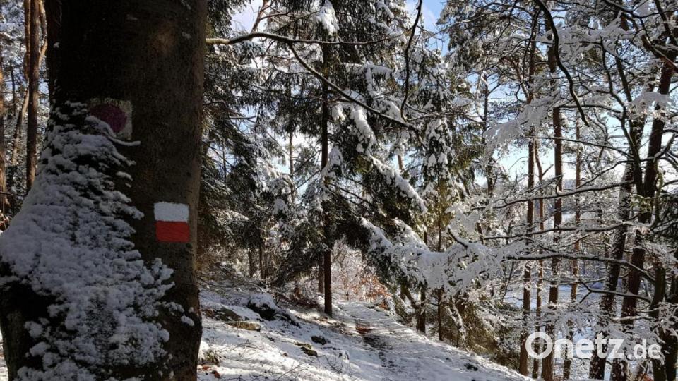Besonderes Wintererlebnis beim Rundweg um den Eixendorfer Stausee. Bild: mp