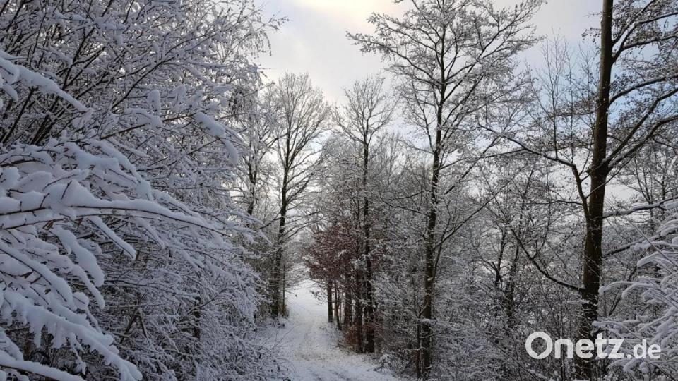 Besonderes Wintererlebnis beim Rundweg um den Eixendorfer Stausee. Bild: mp