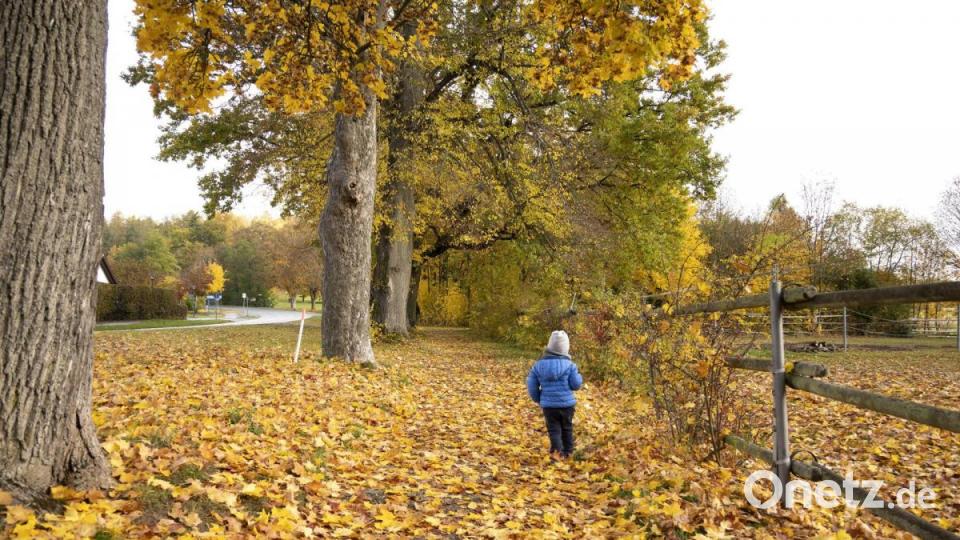 Besondere Stimmungen und außergewöhnliche Blickwinkel fängt Hobbyfotigraf Alfred Härtl in seinen Ansichten von Hirschau ein. Bild: Alfred Härtl