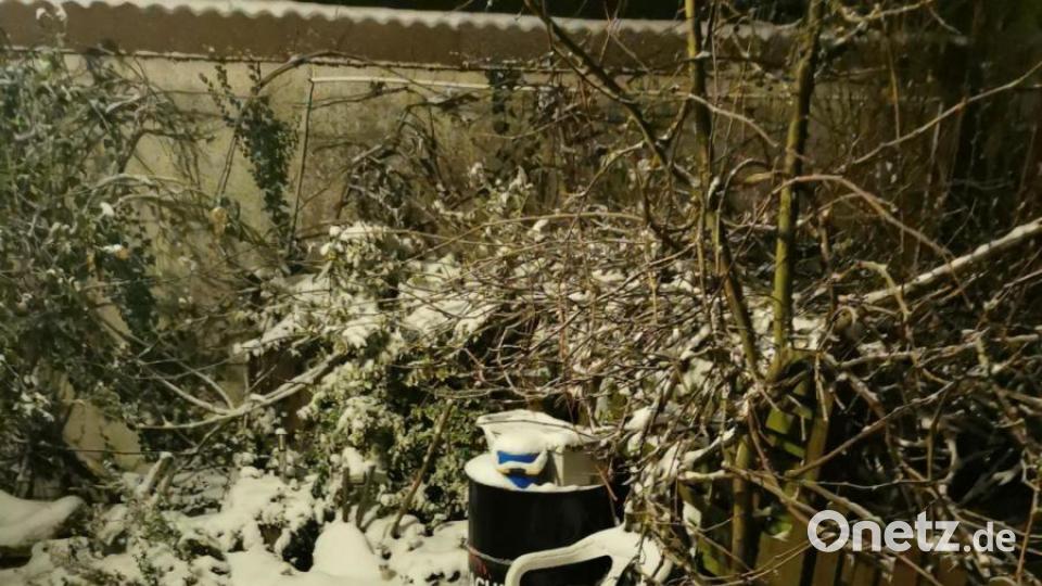 Die Fahrt auf dem Schubkarren macht der fünfjährigen Lea Wiechulla beim Schneemann bauen in Vohenstrauß ganz besonders Spaß. Bild: Sabrina Wiechulla/