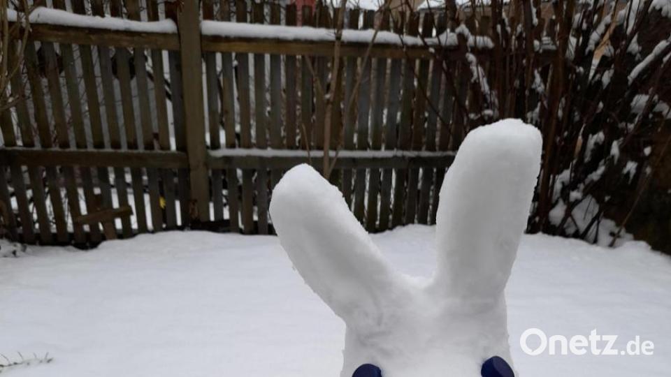 Julia (21) und Anna (16) aus Pirk haben zwei Schneehasen als Spielgefährten für das Zwergkaninchen Krümel gebaut. Zwergkaninchen lieben nämlich Schnee, wie man an den vielen Luftsprüngen sieht, die sie beim Rumtollen im Schnee machen. Bild: Birgit Fleischmann/exb