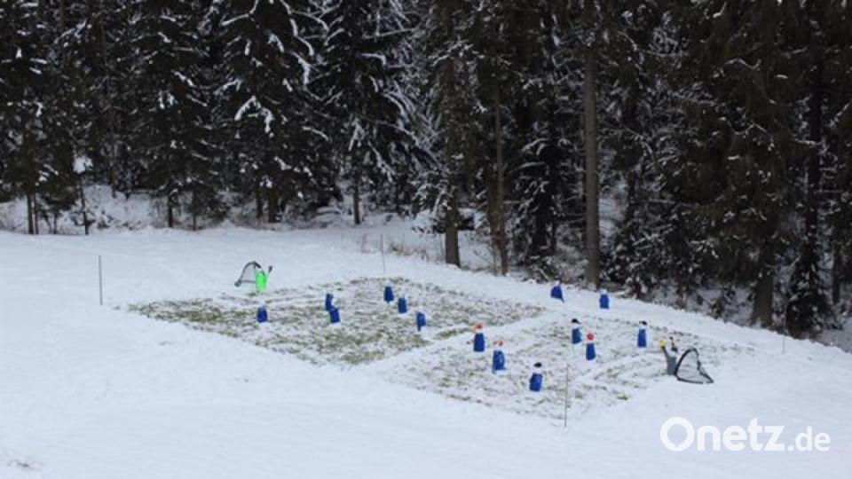 So präsentiert sich das gesamte Spielfeld, das die Helds am Sonntag geschaffen haben. Bild: Stephanie Held