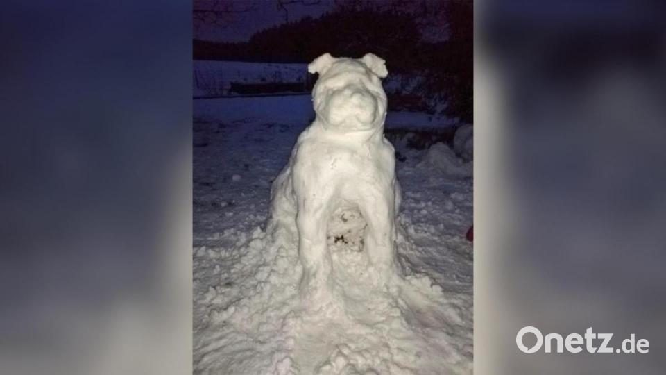 Diese Scheebulldogge steht in Schnaittenbach. Das ist doch mal wirklich ein echt cooler Hund. Bild: Stefanie Pflaum/exb