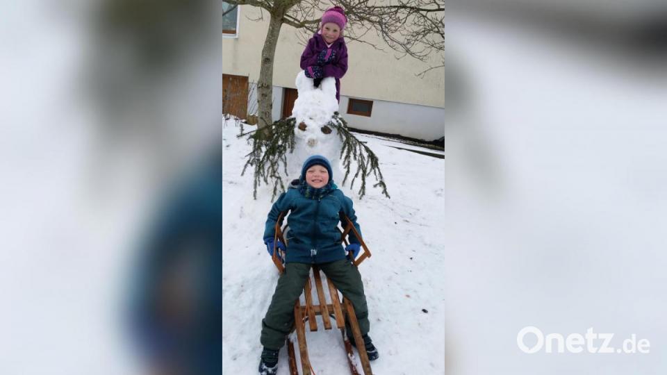 Ein Schneepferd haben Thomas und Magdalena Streber (4) in Heroldsmühle/Vilseck gebaut. Bild: Streber/exb