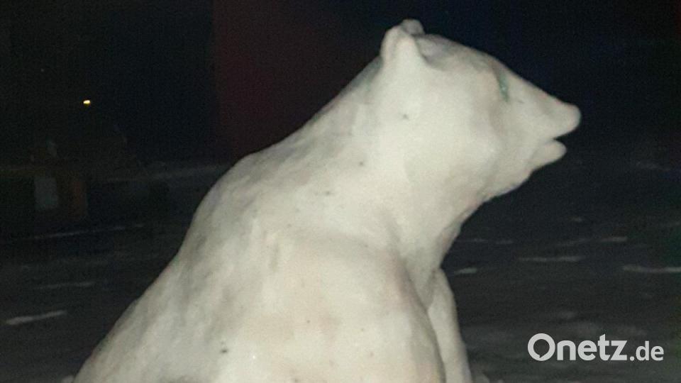 Christian Hiller aus Fensterbach Dürnsricht sandte uns ein &quot;Eisbär&quot;-Foto zu. Bild: Christian Hiller/exb
