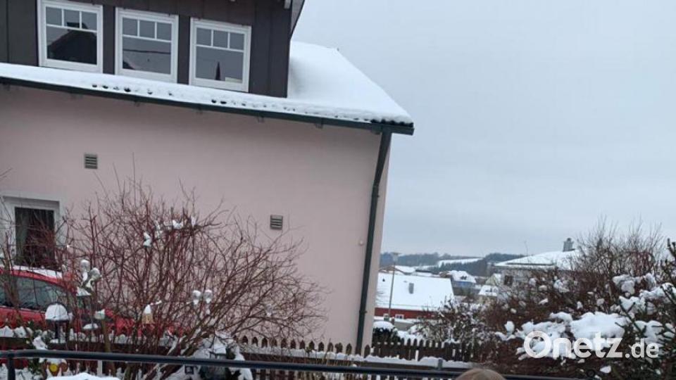 Narrhalla-Mitglieder bauen Schneemänner. Bild: exb