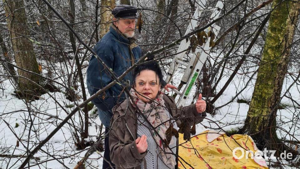 Im Walddickicht ist der Pilz am Stamm der Birke im Sommer unerreichbar. Erst im Winter gibt sie ihren Schatz Preis. Bild: sne