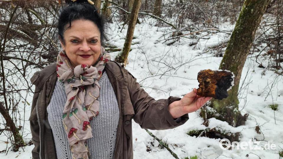 Pilzsachverständige Martina Franke zeigt den von der Birke entfernten Schiefen Schillerporling. Bild: sne