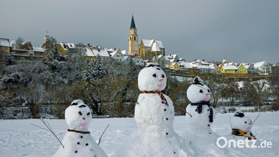 Schneemann, Schneefrau und Schneekinder vor der Nabburger Altstadtkulisse: Günter Moser aus Ammerthal hat dieses Familienidyll fotografiert. Bild: Moser