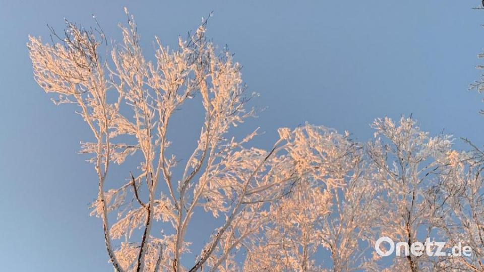 Kirschblütenzeit im Januar? Jens Wein aus Wackersdorf schickte und dieses Winterfoto, das er im Raum Schönsee/Stadlern aufgenommen hat. Bild: Jens Wein/exb
