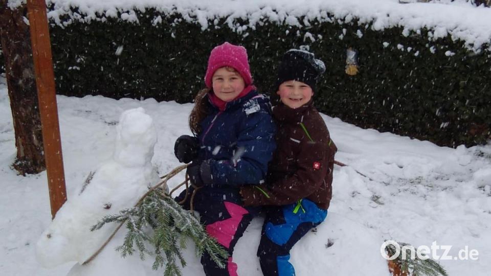 Jana und Fabian Stahl aus Atzenhof bei Trausnitz haben ein Schneepferd gebaut. Papa Georg hat die beiden Schnee-Reiter mit seiner Kamera festgehalten. Bild: Georg Stahl/exb