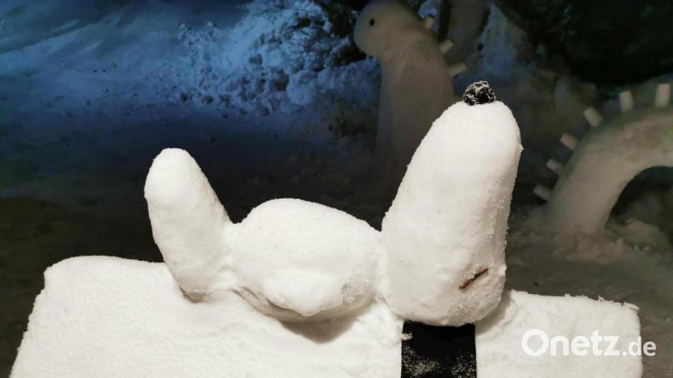 Snoopy schläft in der Einfahrt von Familie Kick in Gebenbach. Bild: Peter Kick/exb
