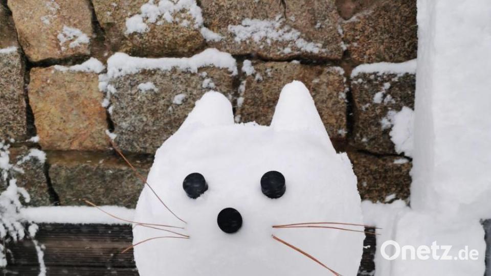 Miau! Auch eine Katze gehört zur Roboter-Familie aus Schnee. Bild: Peter Kick/exb